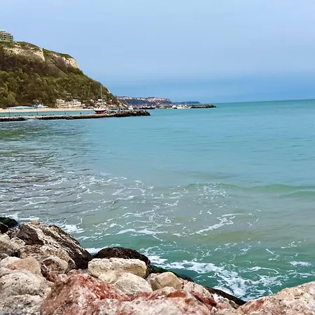 Apartment, * Kavarna